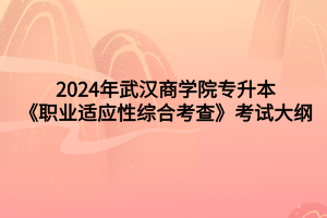 2024年武漢商學(xué)院專升本《職業(yè)適應(yīng)性綜合考查》考試大綱