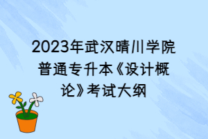 2023年武漢晴川學(xué)院普通專升本《設(shè)計(jì)概論》考試大綱