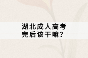 湖北成人高考完后該干嘛？