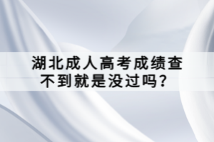 湖北成人高考成績查不到就是沒過嗎？