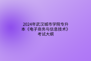 2024年武漢城市學(xué)院專升本《電子商務(wù)與信息技術(shù)》考試大綱