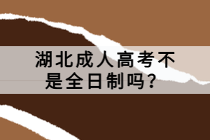 湖北成人高考不是全日制嗎？