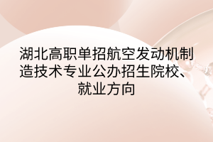 湖北高職單招航空發(fā)動機制造技術(shù)專業(yè)公辦招生院校、就業(yè)方向