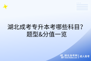 湖北成考專升本考哪些科目？題型&分值一覽