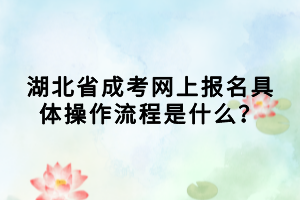 湖北省成考網(wǎng)上報(bào)名具體操作流程是什么？