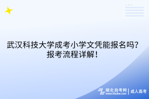 武漢科技大學(xué)成考小學(xué)文憑能報名嗎？報考流程詳解！