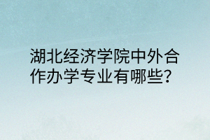 湖北經濟學院中外合作辦學專業(yè)有哪些？