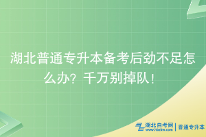 湖北普通專升本備考后勁不足怎么辦？千萬別掉隊(duì)！