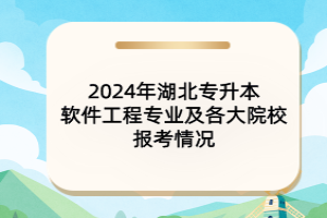 2024年湖北專升本軟件工程專業(yè)及各大院校報考情況