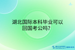 湖北國際本科畢業(yè)可以回國考公嗎？