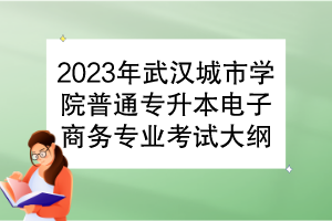 2023年武漢城市學(xué)院普通專升本電子商務(wù)專業(yè)考試大綱