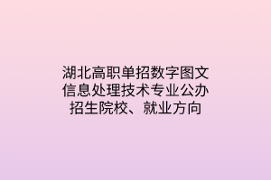 湖北高職單招數(shù)字圖文信息處理技術(shù)專業(yè)公辦招生院校、就業(yè)方向