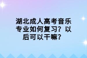 湖北成人高考音樂(lè)專(zhuān)業(yè)如何復(fù)習(xí)？以后可以干嘛？