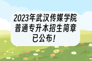 2023年武漢傳媒學(xué)院普通專升本招生簡章已公布！