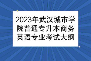 2023年武漢城市學(xué)院普通專升本商務(wù)英語專業(yè)考試大綱