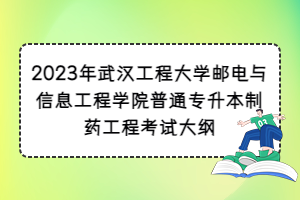 2023年武漢工程大學(xué)郵電與信息工程學(xué)院普通專升本制藥工程考試大綱