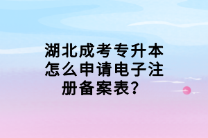 湖北成考專升本怎么申請電子注冊備案表？