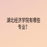 湖北經(jīng)濟(jì)學(xué)院有哪些專業(yè)？