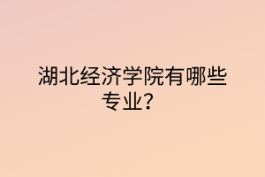 湖北經濟學院有哪些專業(yè)？