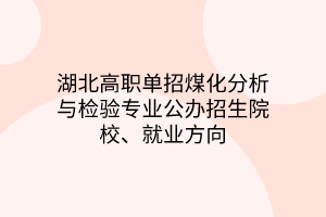 湖北高職單招煤化分析與檢驗專業(yè)公辦招生院校、就業(yè)方向