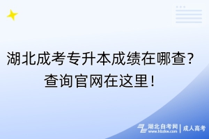 湖北成考專升本成績(jī)?cè)谀牟椋坎樵児倬W(wǎng)在這里！