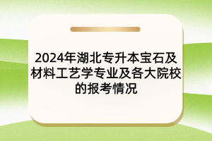 2024年湖北專升本寶石及材料工藝學(xué)專業(yè)及院校報考情況