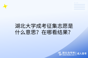 湖北大學(xué)成考征集志愿是什么意思？在哪看結(jié)果？
