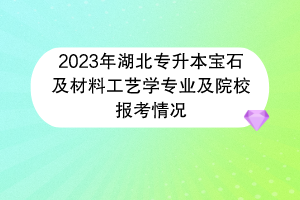 2023年湖北專升本寶石及材料工藝學專業(yè)及院校報考情況