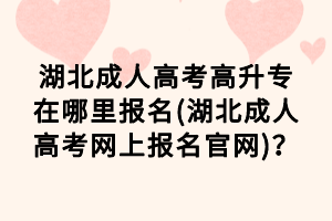 湖北成人高考高升專在哪里報名(湖北成人高考網(wǎng)上報名官網(wǎng))？