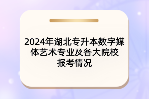 2024年湖北專升本數字媒體藝術專業(yè)及各大院校報考情況