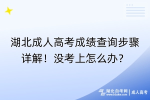 湖北成人高考成績查詢步驟詳解！沒考上怎么辦？