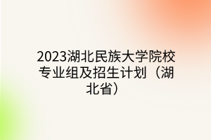 2023湖北民族大學院校專業(yè)組及招生計劃（湖北?。?></a></div>
								<div   id=