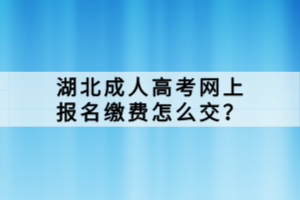 湖北成人高考網(wǎng)上報(bào)名繳費(fèi)怎么交？