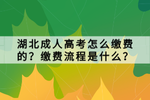 湖北成人高考怎么繳費(fèi)的？繳費(fèi)流程是什么？