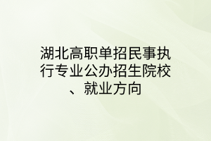 湖北高職單招民事執(zhí)行專業(yè)公辦招生院校、就業(yè)方向