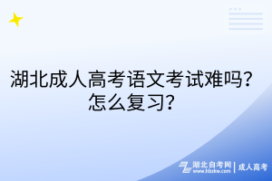 湖北成人高考語文考試難嗎？怎么復(fù)習(xí)？