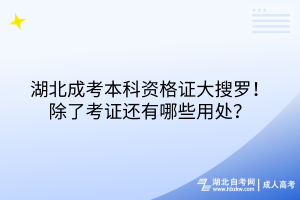 湖北成考本科資格證大搜羅！除了考證還有哪些用處？