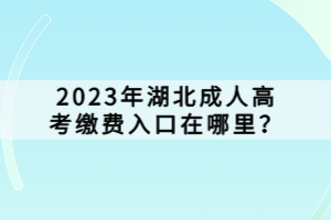 2023年湖北成人高考繳費入口在哪里？