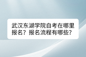 武漢東湖學(xué)院自考在哪里報(bào)名？報(bào)名流程有哪些？