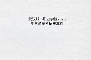 武漢城市職業(yè)學(xué)院2023年普通高考招生章程