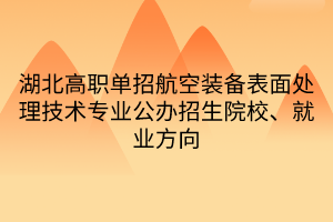 湖北高職單招航空裝備表面處理技術專業(yè)公辦招生院校、就業(yè)方向