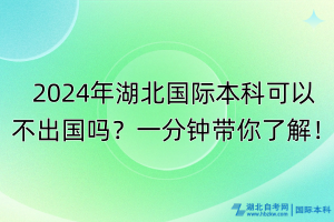 2024年湖北國際本科可以不出國嗎？一分鐘帶你了解！