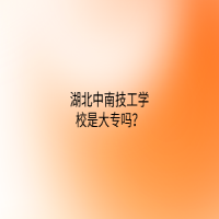 湖北中南技工學(xué)校是大專(zhuān)嗎？