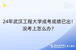 24年武漢工程大學成考成績已出！沒考上怎么辦？