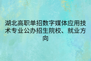 湖北高職單招數(shù)字媒體應(yīng)用技術(shù)專(zhuān)業(yè)公辦招生院校、就業(yè)方向