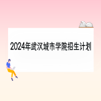 2024年武漢城市學(xué)院招生計劃