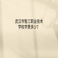 武漢市智工職業(yè)技術(shù)學校學費多少？
