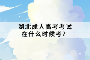 湖北成人高考考試在什么時候考？