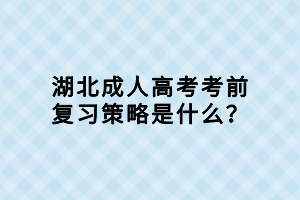 湖北成人高考考前復(fù)習(xí)策略是什么？