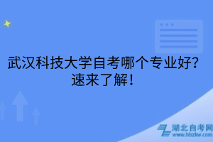 武漢科技大學(xué)自考哪個(gè)專業(yè)好？速來了解！